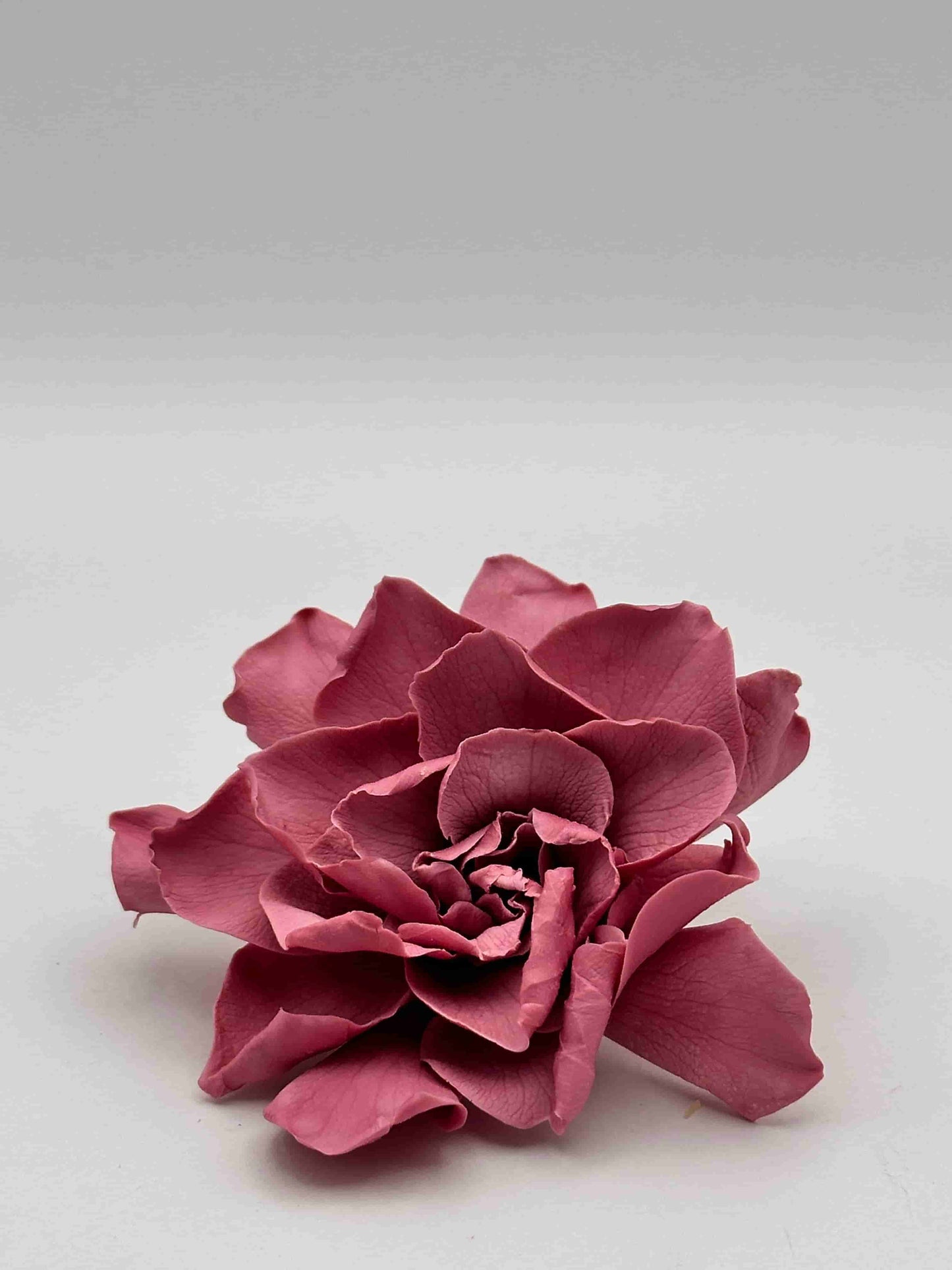 Gardenia Stabilizzata
