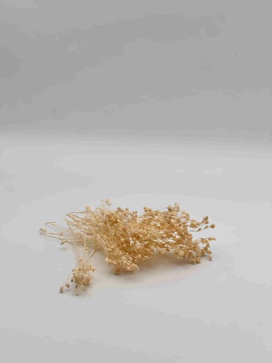 Nebbiolina Stabilizzata