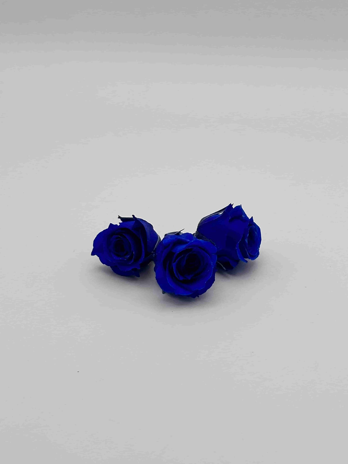 Rose Stabilizzate