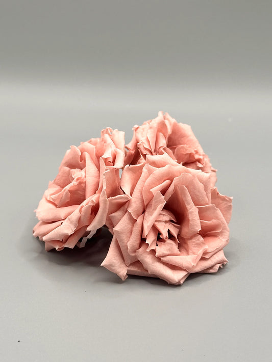 Rosa Stabilizzata Giapponese