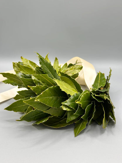Bracciale di laurea in alloro fresco con nastro