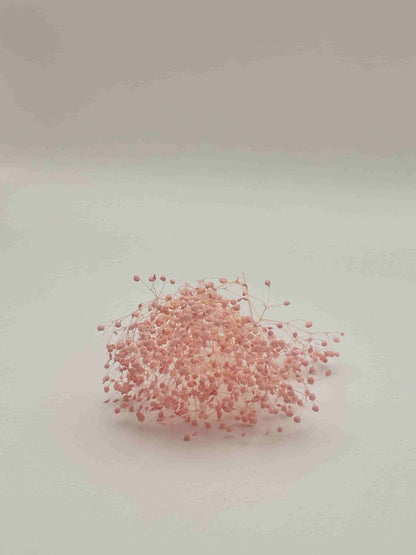 Nebbiolina stabilizzata rosa per decorare una corona d’alloro di laurea