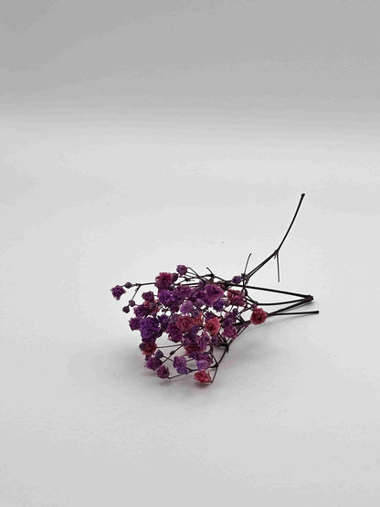 Nebbiolina stabilizzata viola per decorare una corona d’alloro di laurea