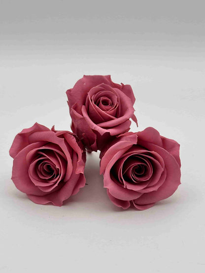 Rosa stabilizzata rosa antico per decorare una corona d’alloro